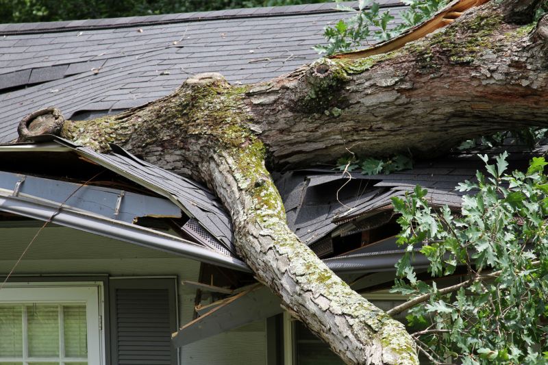 Asphalt Roofing Service in Berkshire County, MA